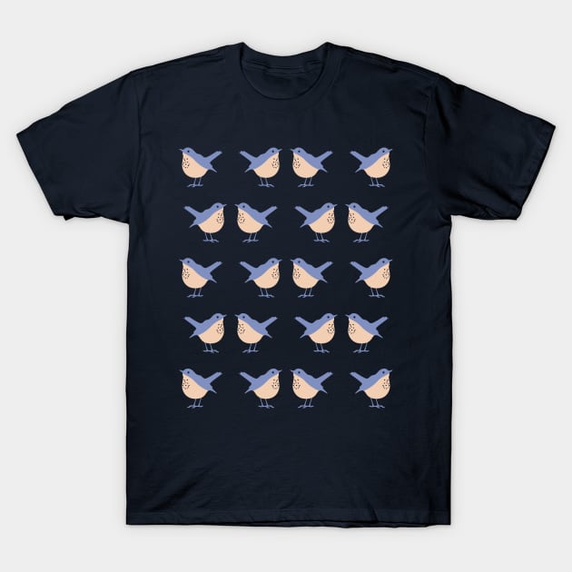 Hermit Thrush (Ripe) T-Shirt by Cascade Patterns